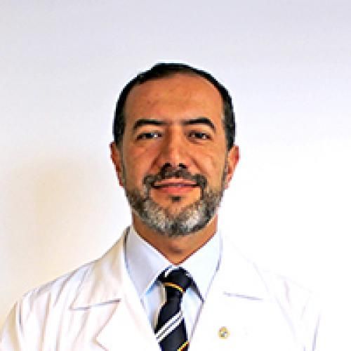 VICTOR ANDRES MIRANDA HERMOSILLA
