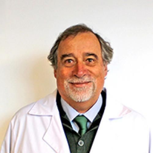 MAURICIO FRANCISCO BESIO ROLLERO