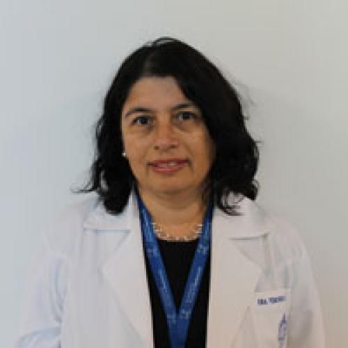 VERONICA LEONOR IRRIBARRA PASTENES