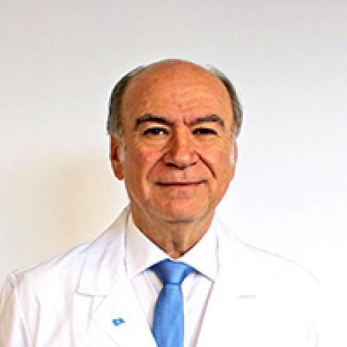 NICANOR BARRENA GAETE
